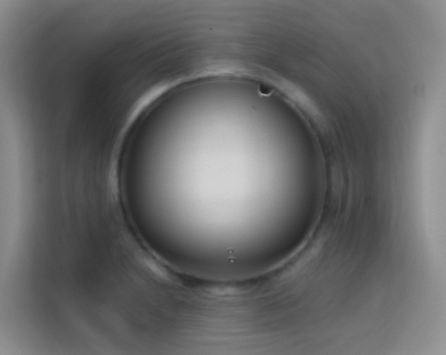 X0000114071230200910051331