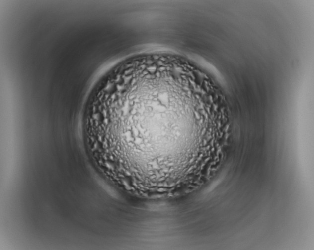 X0000114071231200910051331