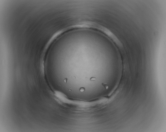 X0000114071232200910051331