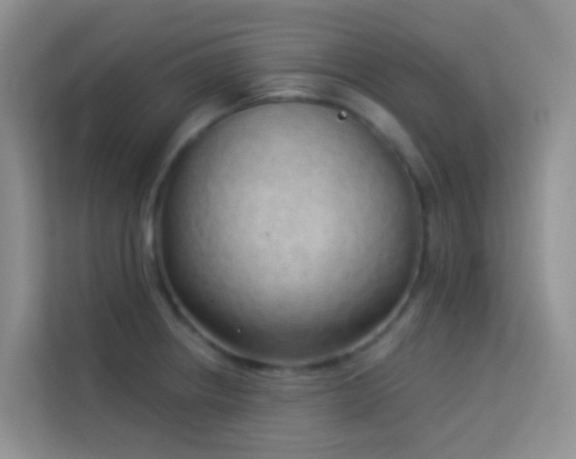 X0000114071234200910051331