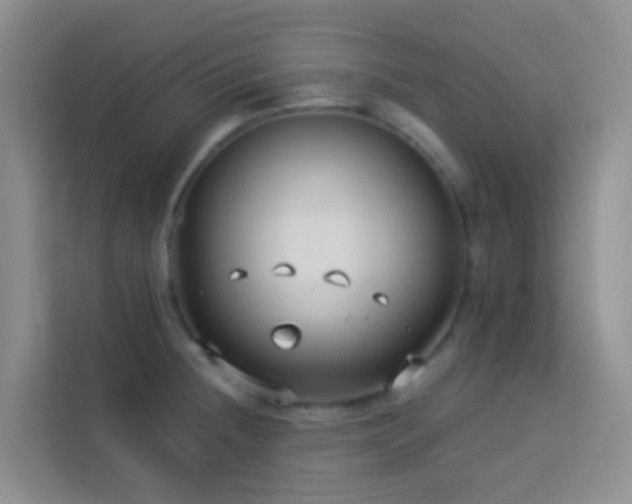 X0000114071236200910051331