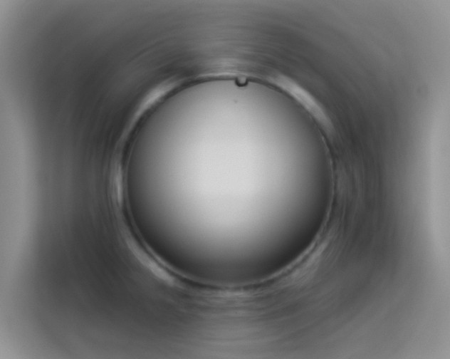 X0000114071238200910051332