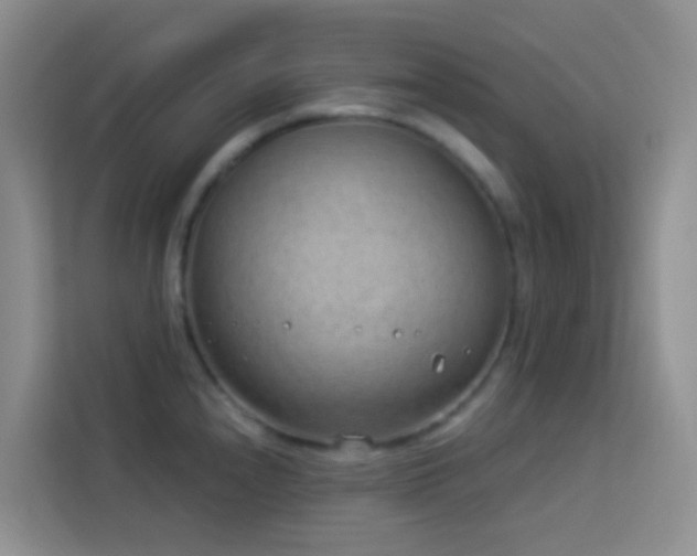 X0000114071240200910051332