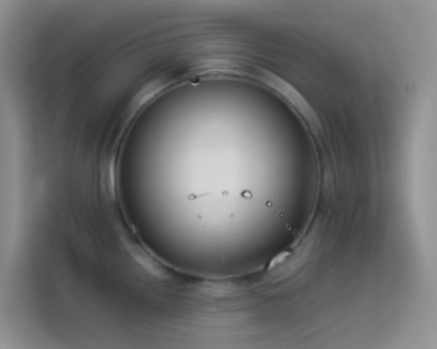 X0000114071242200910051332