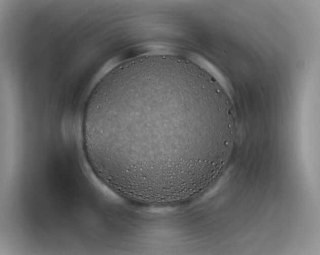 X0000114071243200910051332