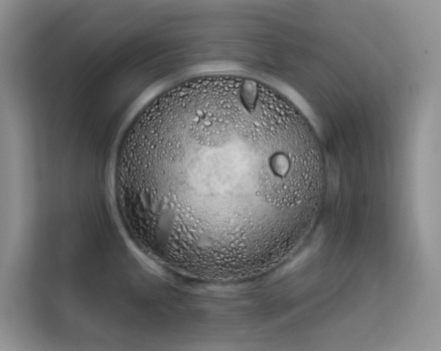 X0000114071245200910051332