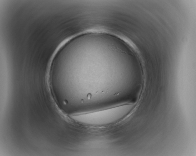 X0000114071248200910051332