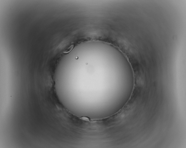 X0000114071253200910051331