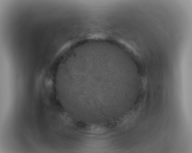 X0000114071254200910051331