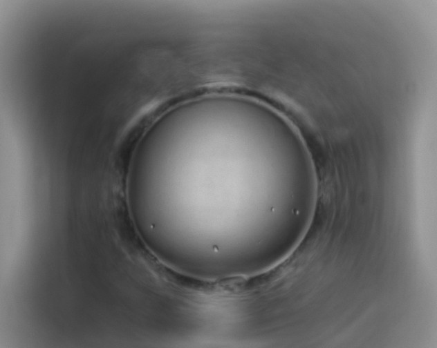 X0000114071255200910051331