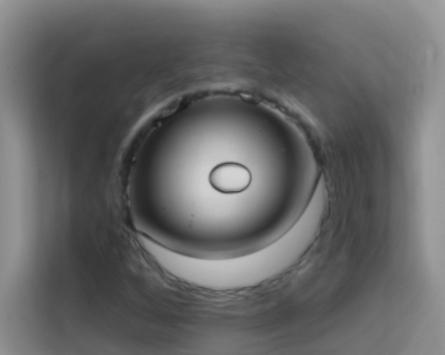 X0000114071256200910051331