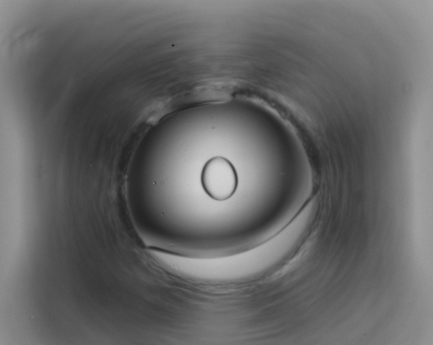 X0000114071257200910051331