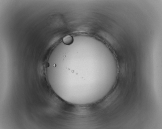 X0000114071258200910051331