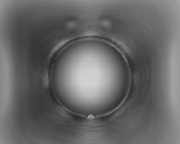 X0000114071262200910051331