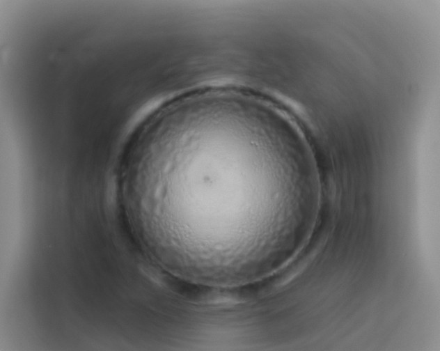 X0000114071263200910051331