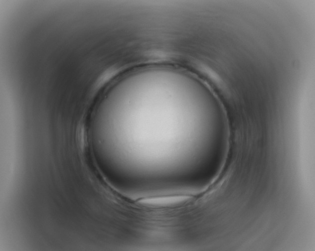 X0000114071267200910051331