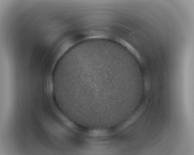 X0000114071274200910051331