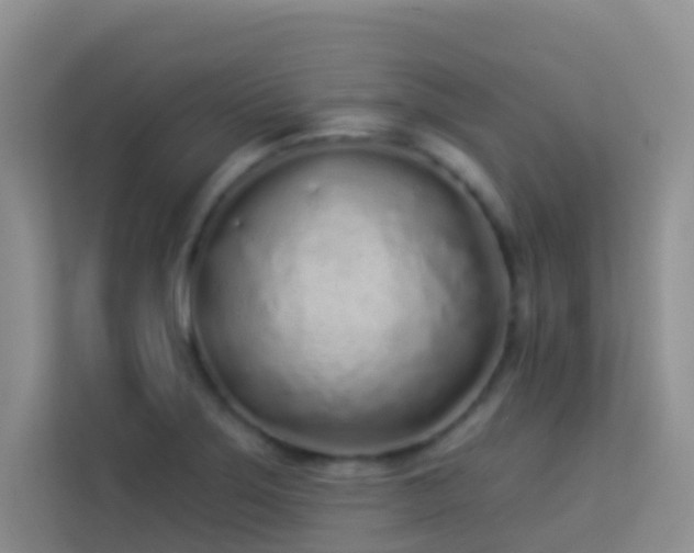 X0000114071275200910051331