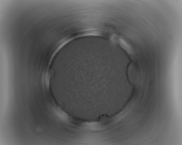 X0000114071276200910051331