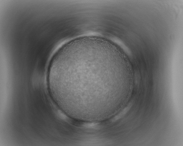 X0000114071278200910051331