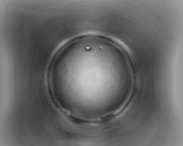 X0000114071279200910051331