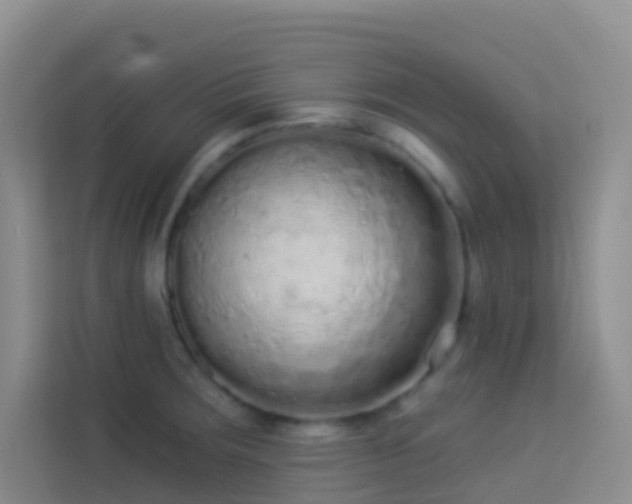 X0000114071283200910051331