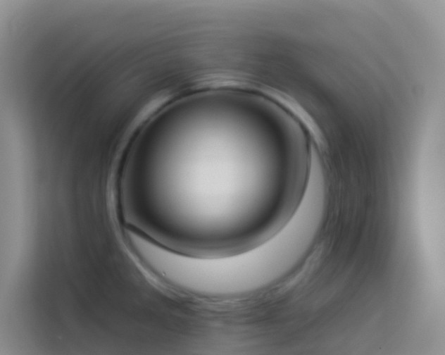 X0000114071285200910051331