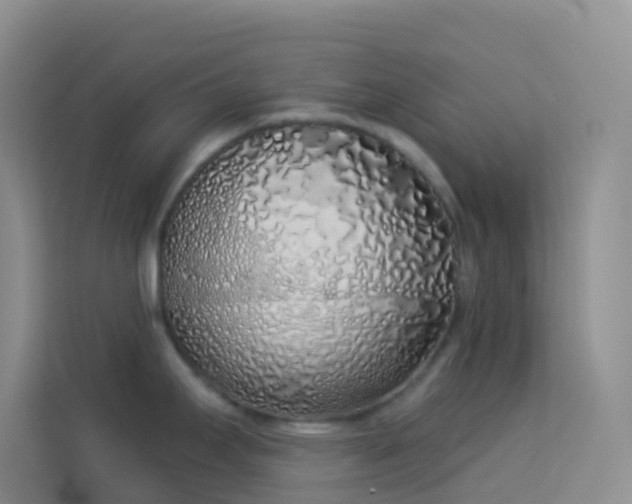 X0000114071295200910051330