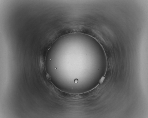 X0000114071298200910051330