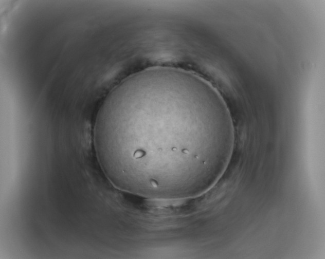 X0000114071301200910051330