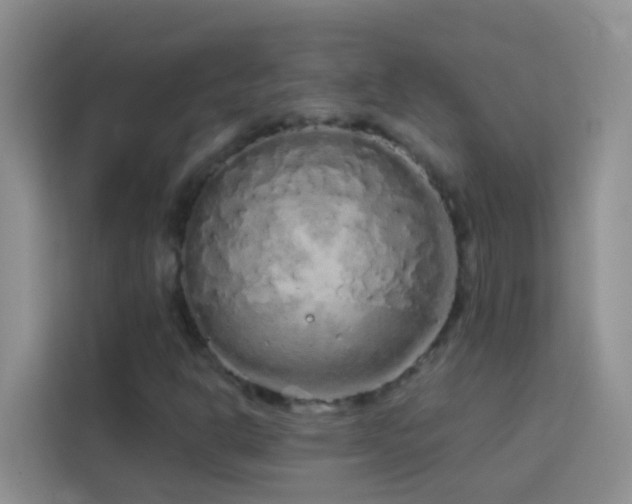 X0000114071302200910051330