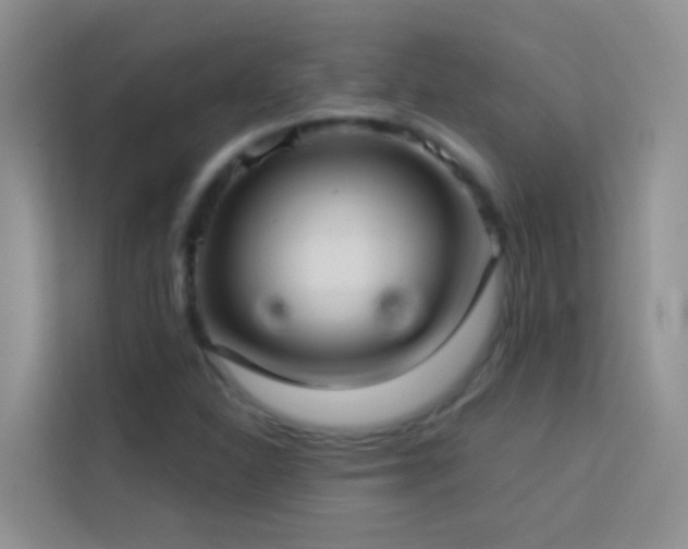 X0000114071310200910051330