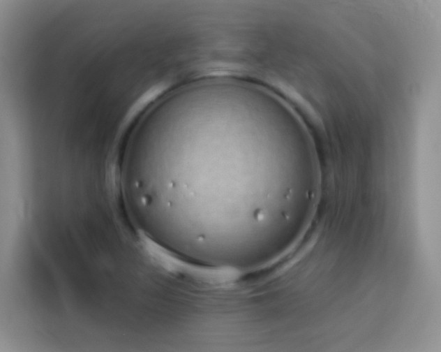 X0000114071317200910051330