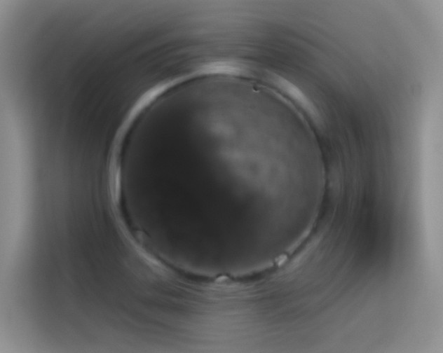 X0000114071323200910051330