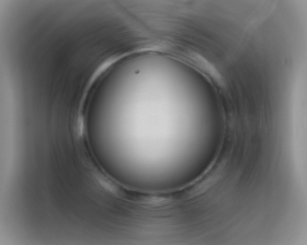 X0000114071324200910051330