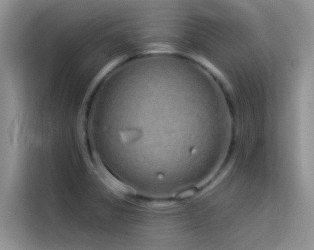 X0000114071325200910051330