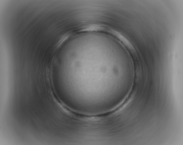 X0000114071329200910051330