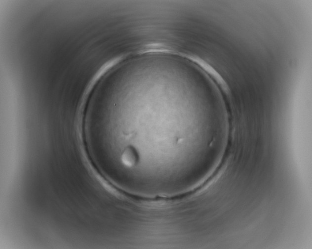 X0000114071333200910051330