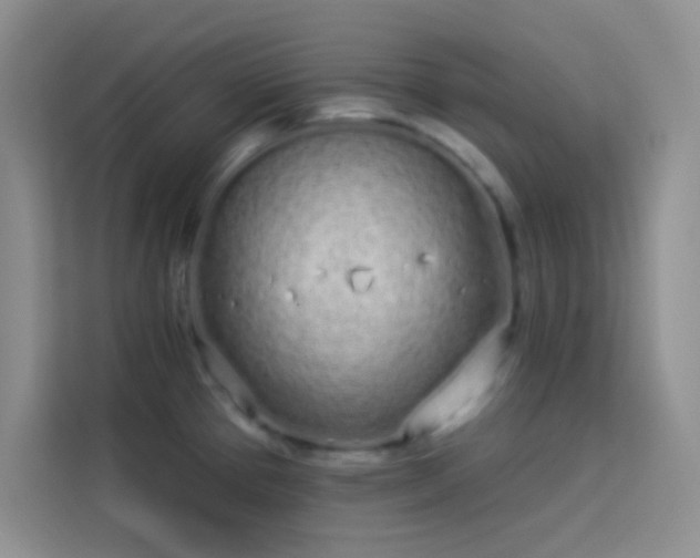 X0000114071337200910051330