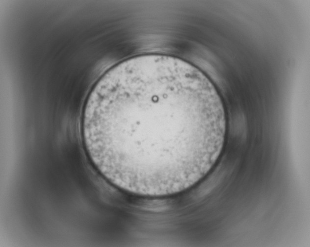 X0000114071338200910051330