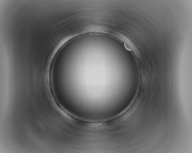 X0000114071339200910051330