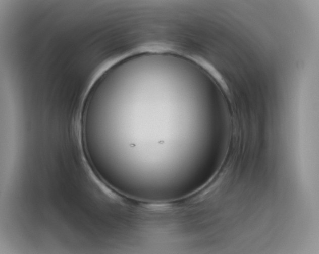 X0000114071343200910051330