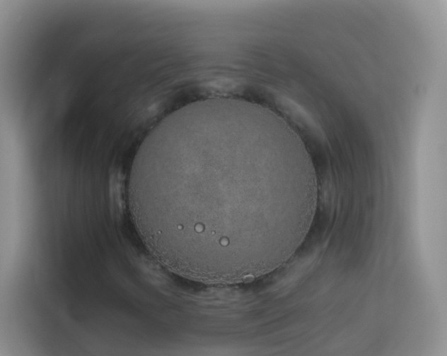 X0000114071346200910051330