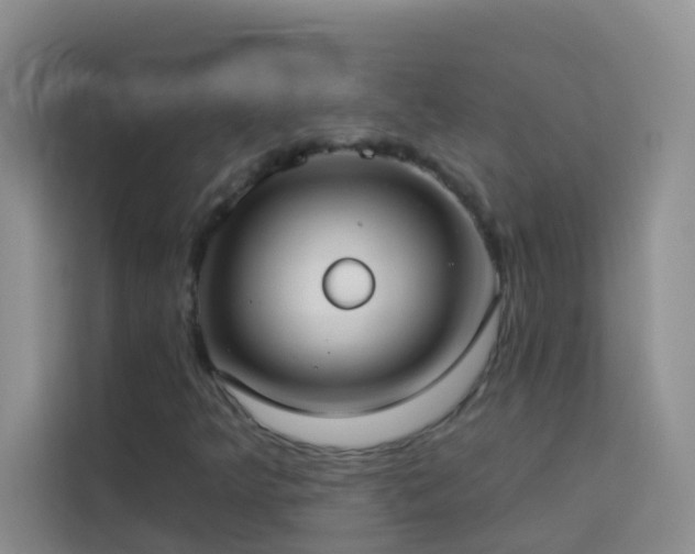 X0000114071349200910051330