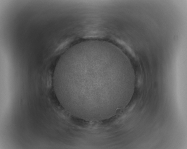 X0000114071350200910051330