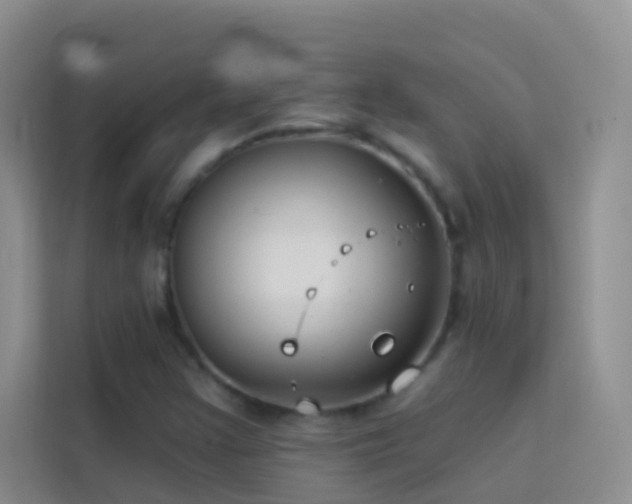 X0000114071355200910051330