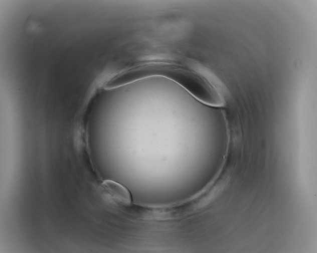 X0000114071357200910051330