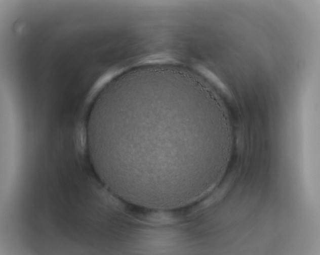 X0000114071358200910051330