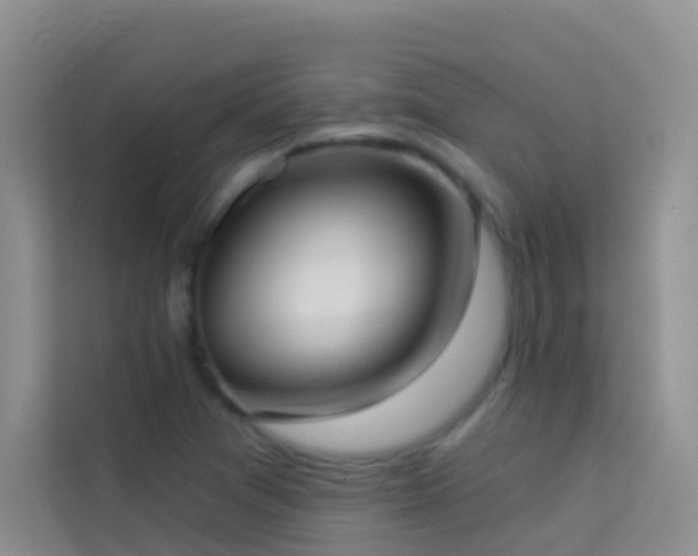 X0000114071361200910051330