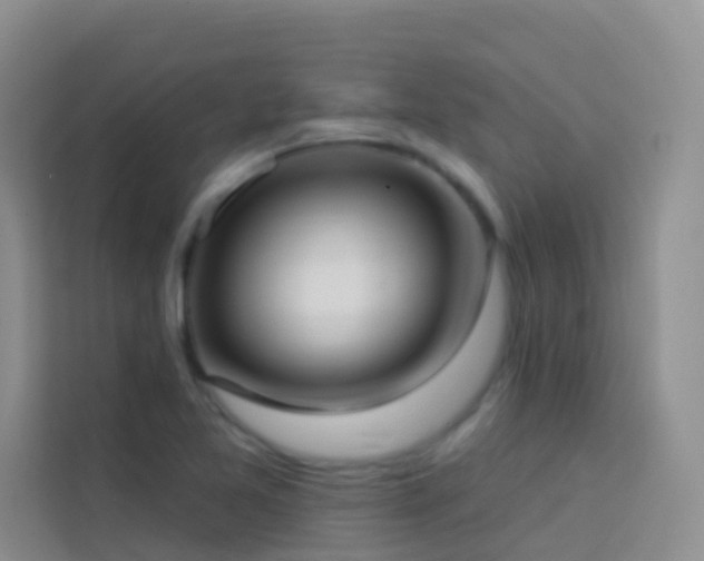 X0000114071365200910051330